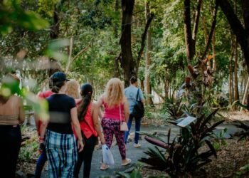 Alberto Roth Botanical Garden: A Natural Treasure in Posadas